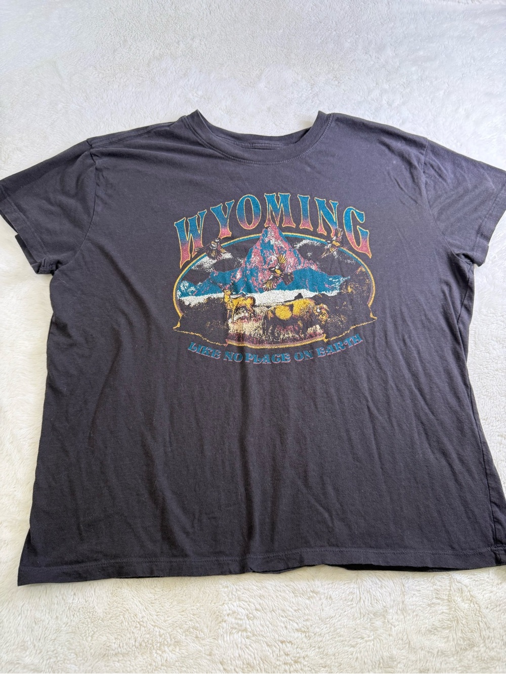 Doe Wyoming T Shirt Men’s XL Bison Eagle Mountain Western Graphic Tee Gray